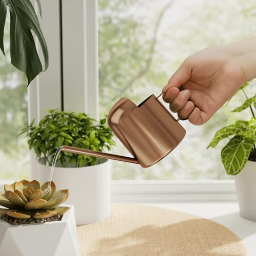Bamworld Small Watering Can Indoor Outdoor Plant Metal Stainless Steel Long Spoutt Flowers Watering Cans for House Garden Plants 10OZ Watering Bottle Cute Decorative for Bonsai(Bronze) - color: Bronze
