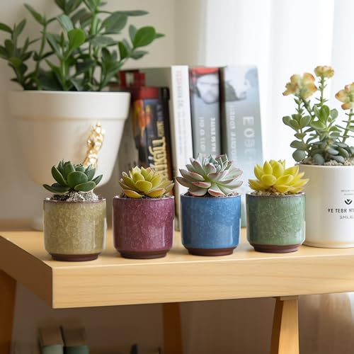 T4U 2.5 Inch Small Ceramic Succulent Planter Pot with Drainage Hole Set of 6, Ice Crack Glaze Plant Container for Cactus, Succulent Plant Gifts for Women Mom Aunt Home Office Decor | Deep root containers, for small cactus plants, bonsai tree starter pots,