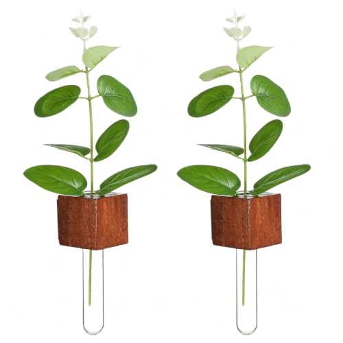WLLHYF Magnetic Test Tube Flower Vases for Refrigerator Set of 2 Wooden Fridge Magnet Planters with Glass Tubes Propagation Station for Hydroponic Display (No Plant Included)