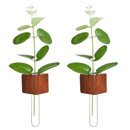 WLLHYF Magnetic Test Tube Flower Vases for Refrigerator Set of 2 Wooden Fridge Magnet Planters with Glass Tubes Propagation Station for Hydroponic Display (No Plant Included)