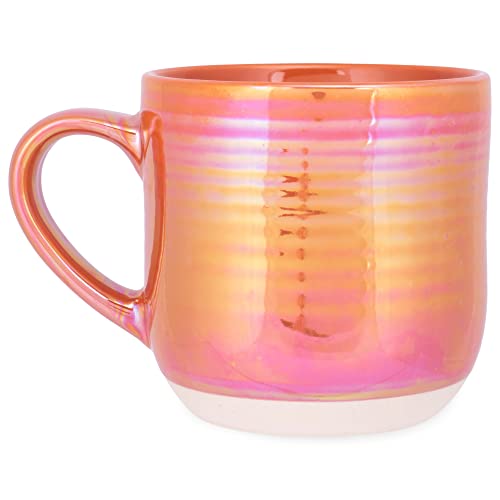 Elanze Designs Glossy Reactive Glaze Large 17 Fluid Ounce Everyday Kitchen Food Grade Ceramic Stoneware Coffee Mug Cup with Comfort Curved Handles, Set of 4, Burnt Orange - color: Burnt Orange