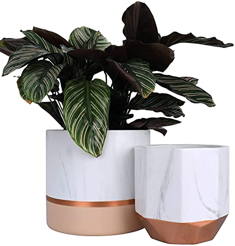 LA Jolie Muse Ceramic Flower Pots, 6.7 & 5.4 Inch Indoor Plant Pot Set of 2 | Modern Decorative Indoor Planters with Marble Ink Pattern for House Plants, Living Room, Bedroom, Office and Home Decor - color: 6.7"+5.4"-white Pink