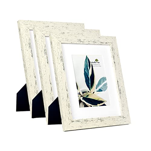 Rustic White 8x10 Picture Frame set of 2,Display 8x10 without Mat or 5x7 with Mat - color: White, size: 8x10 inches