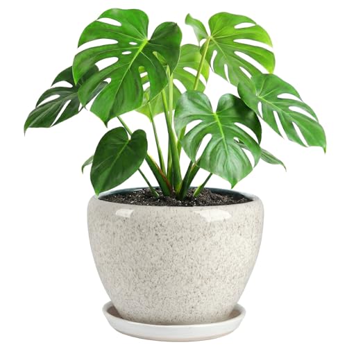 10.2 Inch Ceramic Planter with Saucer Leak-Proof Mesh &Drainage, Round Plant Pot with Gardening Gloves for Indoor Outdoor Plants - color: Malt Crackle Glaze, size: 10.2 Inch