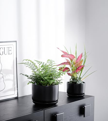 Flower Pots,Ceramic Pots with Drainage Holes & Saucer Set of 3(Matte Black) | Planters for Indoor Plants | Small Succulent Pots | Cute Pots for Plants | Ceramic Planter | 4+5+6.5 Inch Garden Pots - color: Matte Black