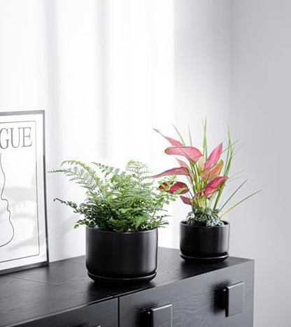 Flower Pots,Ceramic Pots with Drainage Holes & Saucer Set of 3(Matte Black) | Planters for Indoor Plants | Small Succulent Pots | Cute Pots for Plants | Ceramic Planter | 4+5+6.5 Inch Garden Pots - color: Matte Black