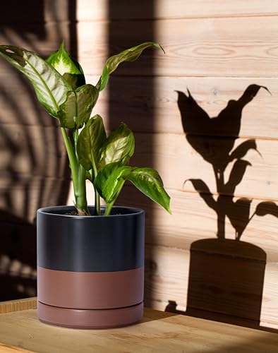 D'vine Dev 2-Pack Ceramic Pots with Saucers, Black/Tan, 4/6 in, 94-G-S-7 | Glazed Ceramic, Drainage Hole, Perfect-Fit Saucer, Sleek Cylinder Shape, High Temperature Fired, Elegant Home Accent - color: Black/Speckled Tan, size: Small