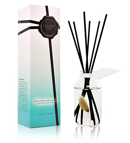 Reed Diffuser Set - Clean Cotton Blossom Scented Diffuser with Sticks | Fresh Laundry Home Fragrance Reed Diffuser for Bedroom, Bathroom Shelf Décor, with Real Botanicals in the Bottle - color: Clean Cotton Blossom