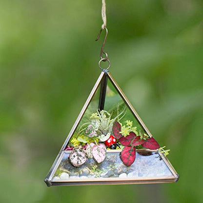 D'Eco Glass Copper Mini Triangle Tabletop or Hanging Planter Terrarium | Geometric Planter Terrarium, Fill Display w Succulents, Moss, Air Plants, Ferns, Home, Wedding & Office Decor, Dims:5x5x5"