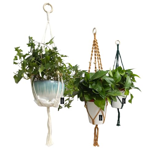 Macrame Plant Hangers Set of 3 – Handmade Indoor/Outdoor Hanging Planters in Yellow, Green, and Ivory, 35, 33, and 29 Inches, Boho Decor for Pots up to 9 Inches (Pots Not Included)