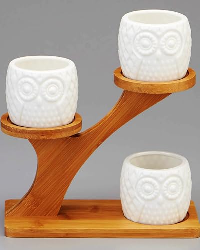 FLOWERPLUS Planter Pots Indoor, 3 Pack 3 Inch White Ceramic Decorative Small Owl Succulent Cactus Flower Plant Pot with Tree Tier Bamboo Stand for Garden Kitchen Home Office Desk Decorations