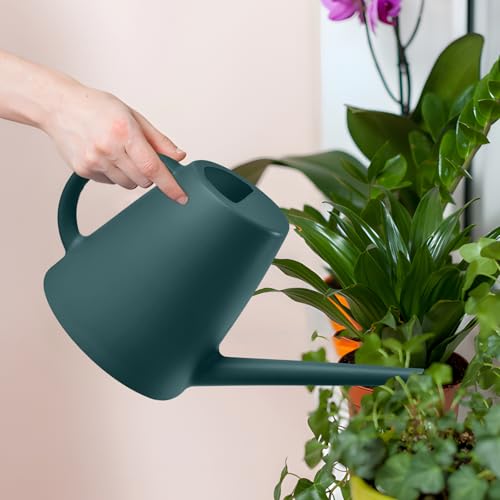 ZXJ Plant Watering Cans for Indoor and Outdoor Home Garden Plants - with Long Spout - Blackish Green - 1/2 Gallon - color: Blackish Green