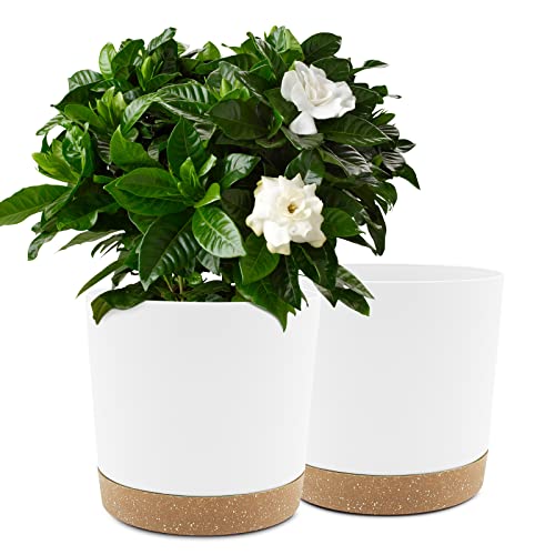 QCQHDU 10 inch Plant Pot, 2 Pack Planters for Indoor Plants with Drainage Holes & Saucer, Outdoor Flower Pots Home Garden Modern Decor - color: White, size: 10 inch