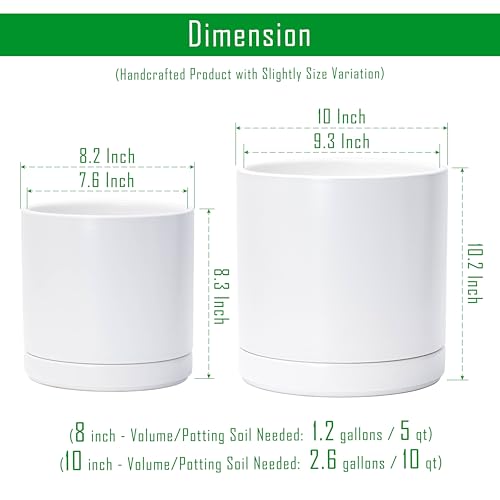 D'vine Dev 2-Pack Ceramic Pots with Saucers, 8/10 in, White, 94-G-L-1 | Glazed Ceramic, Drainage Hole, Perfect-Fit Saucer, Sleek Cylinder Shape, High Temperature Fired, Elegant Home Accent - color: White, size: Large