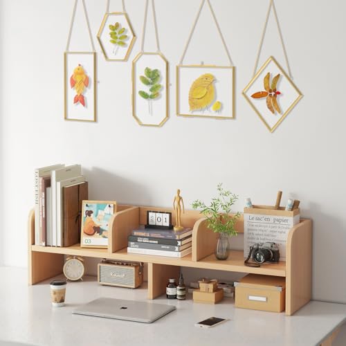 5 Pcs Pressed Flower Frames with Tweezers, Wall Hanging Tabletop Display Double Glass Frames with Metal Chain for Pressed Dried Flowers Plants, Horizontal and Vertical Picture Frame, Golden - color: Gold-5