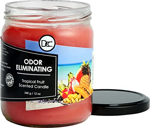 Tropical Fruit Odor Eliminating Highly Fragranced Candle - Eliminates 95% of Pet, Smoke, Food, and Other Smells Quickly - Up to 80 Hour Burn time - 12 Ounce Premium Soy Blend - color: Tropical Fruit