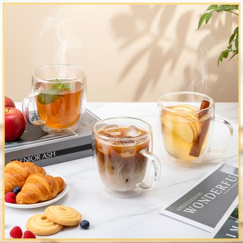 Patelai Glass Coffee Mugs Set of 6, 16 oz Clear Double Walled Coffee Cups Glasses Insulated Latte Mugs with Handle Espresso Clear Cups for Hot and Cold Beverages - color: Clear, size: 480ml