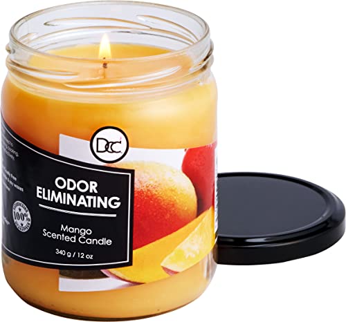 Mango Odor Eliminating Highly Fragranced Candle - Eliminates 95% of Pet, Smoke, Food, and Other Smells Quickly - Up to 80 Hour Burn time - 12 Ounce Premium Soy Blend - color: Mango