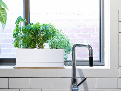 D'vine Dev Rectangular Planter, 12 x 4.5 in, White, Set of 1, 76-X-A-1 | Minimalist Design, Large Planting Capacity, Drainage Holes & Saucer, Thick-Walled Durable Build, Ideal for Windowsills - color: White