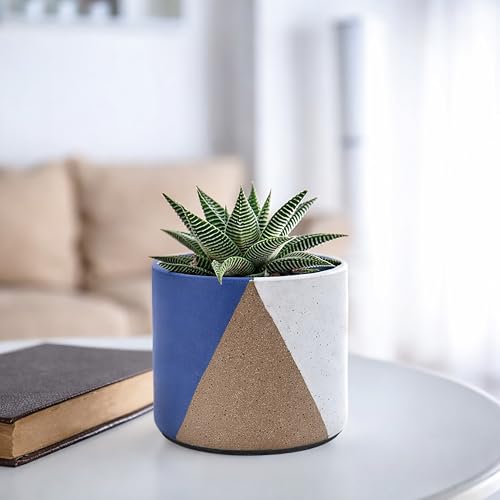 D'vine Dev 2-Pack Cachepot with Clear Pot, 4.5 in, Cobalt Canyon, 93-V-B-3 | Dual-Pot System, Root Visibility, Bottom Watering Support, Enhanced Drainage, Artistic Stoneware Design, Easy Plant Care - color: Cobalt Canyon, size: 4.5” Cachepot + 4“ Clear Gr