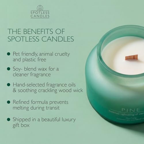 Pine Volcano Candle 19oz: 80-Hour Burn, Natural Refreshing Pine Scent, Hybrid Soy Wax, Crackling Wood Wick, Teal Matte Glass Jar, Gold Foil Gift Box by Spotless Candles - color: Pine 19, size: 19oz