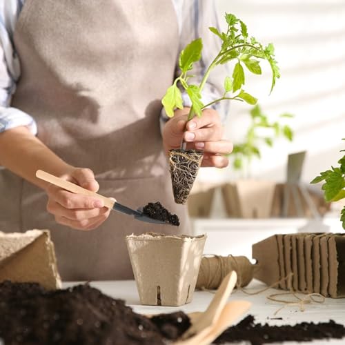 HEMOTON 15pcs Mini Gardening Tool Set for Succulent and Indoor Plants, Portable Small Garden Tools Kit for Transplanting and Potting, Handheld Gardening Supplies for Indoor and Outdoor Use