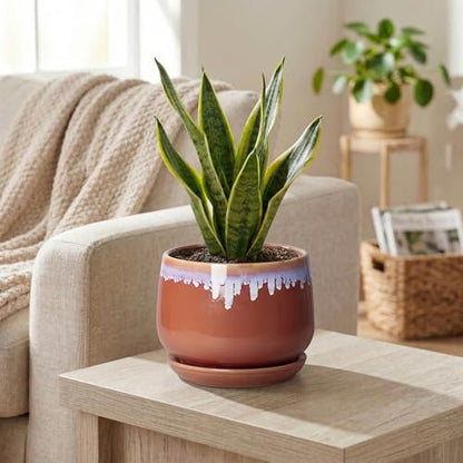 Ceramic Plant Pot - 6 Inch Planters for Indoor Plants, Round Ceramic Planter with Drainage Hole and Saucer, Decorative Small Plant Pots, Room Bookshelf Decor, Red-Purple - size: 6 Inch, style: Red-purple