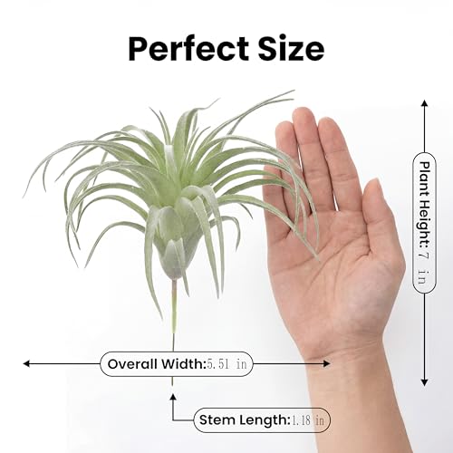 Artificial Plants & Greenery 2Pcs Faux Decor Set | Ultra Realistic Artificial Air Plants, No Care Faux Succulents for Home Garden Office Terrarium DIY Decor