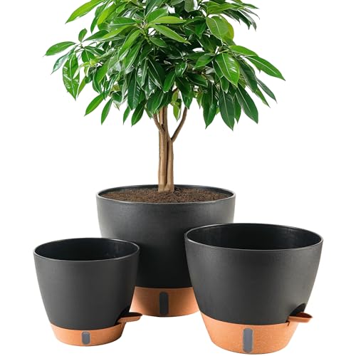 8/10/12 Inch Self Watering Pots for Indoor/Outdoor Plants | Large Plastic Planter with Drainage Holes, Water Level Indicator & Deep Reservoir, Modern Decorative Flower Pots, Black - color: Black, size: 8/10/12 Inch