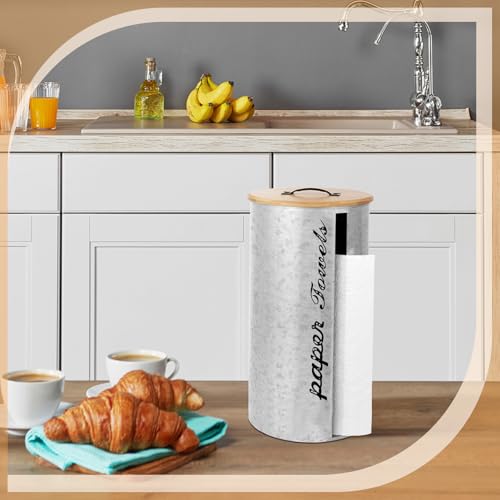 Beeveer Farmhouse Paper Towel Holder Covered Metal Rustic Countertop Paper Towel Dispenser with Wooden Lid Fully Covered Holder for Home Country Bathroom Kitchen 6.3 x 6.3 x 13.4'', Silver