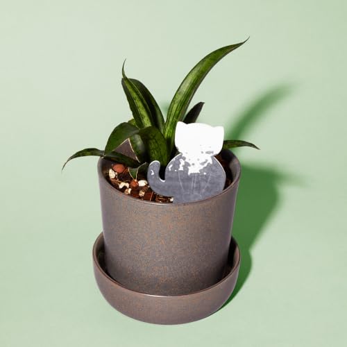 Paper-Based Soil Moisture Meter for Houseplants – Know When to Water, Prevent Overwatering – 5 Pack (PlantDoc Kitty) - style: Kitty PlantDoc - 5 Pack