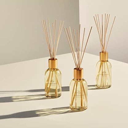 Glasshouse Fragrances The Hamptons Reed Diffuser, Home Fragrance & Perfume Scented Room Decor, Natural & Oil Free, Teak & Petitgrain, 8.5 Oz (250mL)