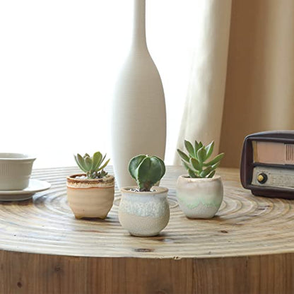 T4U Small Ceramic Succulent Pots with Drainage Set of 6, Mini for Plants, Tiny Porcelain Planter, Air Plant Flower Cactus Faux Plants Containers, Modern Decor Home and Office