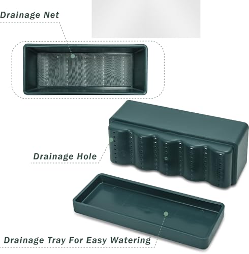D'vine Dev 2-Pack Rectangular Planters, 12 x 4.5 in, Green, 76-X-C-2 | Minimalist Design, Large Planting Capacity, Drainage Holes & Saucer, Thick-Walled Durable Build, Ideal for Windowsills - color: Green