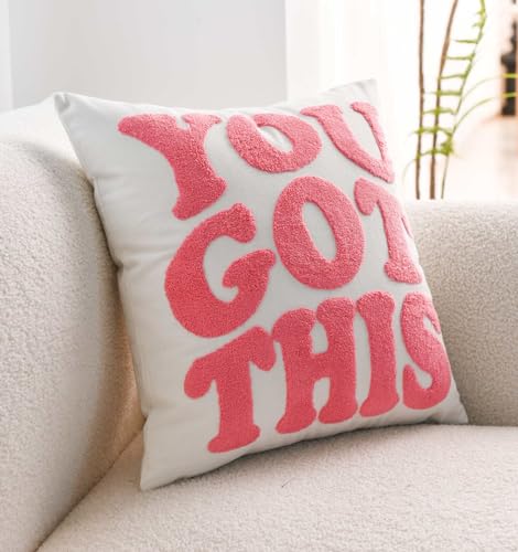 Embroidered You Got This Decorative Pink Throw Pillow Cover, Inspirational 18 Inches x 18 Inches Cover Only