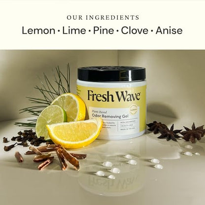 Fresh Wave Lemon Odor Eliminator Gel 2Pk 15 oz - Air Freshener for Home | Lasts 30-60 days. Plant-based odor absorber. No perfumes or harsh chemicals. Bathroom & closet deoderizer. Refills available. - size: 15 Fl Oz (Pack of 2)
