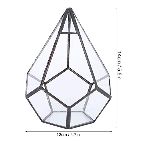 Geometric Glass Planter, Glass and Tin Container 12 X 12 X 14 Cm, Terrarium Candle Holder for Home Desk Wedding Decoration, for Moss Fern Display