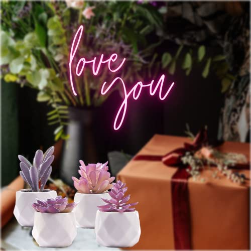 CADNLY Fake Succulent Plant Set Desk Plants Faux Succulents Pots Mini Purple Decor