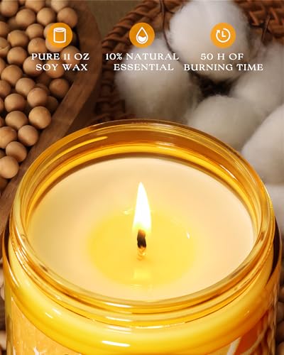AOOVOO Citrus Lemon Large Odor Eliminating Candle - 11oz Soy Candles | Eliminates 95% of Smoke, Food, Pet and Other Smells Quickly, Non Toxic Air Freshing Candle, Up to 50 Hours Burn time - size: 11 Ounce (Pack of 1)