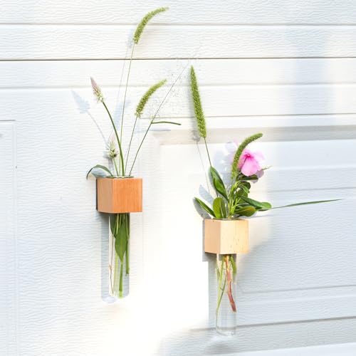Wooden Wall Planter Glass Plant Propagation Stations Fridge Glass Tube Single Stem Bud Vase 2Pcs/Set Modern Decorative Cube Wood Window Flower Vase Refrigerator Magnetic Mini Glass Vase with Dropper