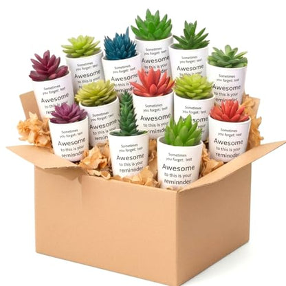 24 Set Mini Fake Succulents in Pots Back to School Gifts Plastic Artificial Faux Plants for Students Teachers Classmates Dorm Decor Study Desk Accessories