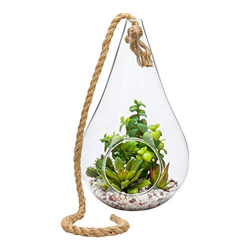 Restaurantware-7.9 x 12.6 Inch Hanging Terrarium With Faux Succulent, 1 Artificial Succulent - In Hanging Glass Terrarium, With Knotted Hemp Rope, Plastic Hanging Succulent, Patio Or Home Decor