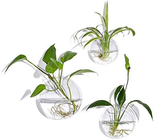 Set of 3 Wall Hanging Terrariums Indoor Plants Holders Wall Glass Vase for Flowers Planters for Succulents Air Plants Wall Mounted Decoration for Sunroom Living Room