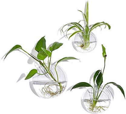 Set of 3 Wall Hanging Terrariums Indoor Plants Holders Wall Glass Vase for Flowers Planters for Succulents Air Plants Wall Mounted Decoration for Sunroom Living Room