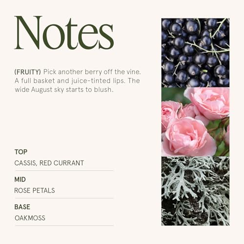 LA JOLIE MUSE Hey Baies Candles - Red Currant, Rose, Oakmoss | 6 oz Natural Soy Wax | 40 Hours Clean Burn | Berry Scented Candle | Gift-Ready for Hosts & Gatherings - color: Hey Baies