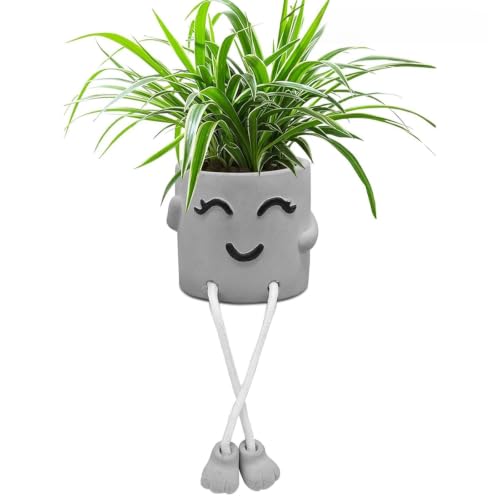1 Piece Gray Cute Smiley Cement Planter, Small Plant Pot, Indoor Succulent Pot, Fun Planter with Hanging Feet for Living Room, Office, Desk and Bathroom Shelf Decor (Plants Not Included). - color: 1pcs