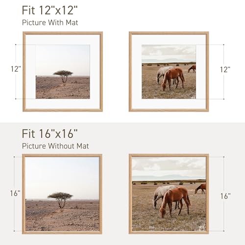 16x16 Picture Frame Set of 4 Natural Solid Oak Photo Frames with 12x12 Removable Mat Wall Hanging Large Handcrafted Frame with HD Plexiglass Wall and Tabletop Display Large Poster Frame - color: Oak, size: 16X16,4P