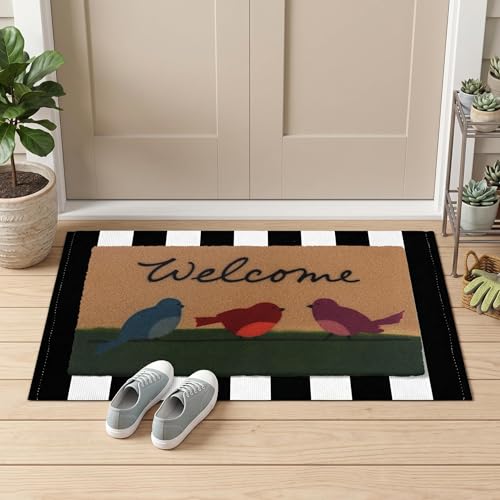 Arttown Welcome Front Coir Rug Door Mats Combo Set 17"x30"+24"x36" Birds Stripes - color: Colorful Birds