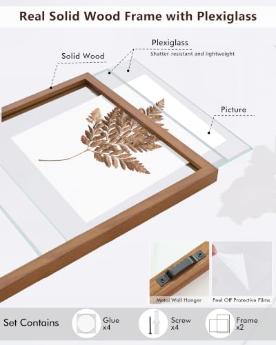 DLQuarts 16x20 Floating Picture Frame for 12x16/11x14 Photos, 2-Pack Solid Wood Double Plexiglass Wall Art Frames, Any Size Photo up to 16x20 Display, Black Walnut - color: Black Walnut, size: 16x20