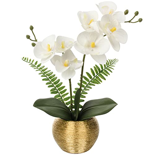 Briful Artificial Orchid Flowers in Gold Ceramic Pot, 13" Small White Faux Phalaenopsis Orchid Floral Arrangement Fake Silk Orchid for Bathroom Vanity Office Desk Shelf Nightstand Home Table Decor - color: White Orchid With Gold Vase